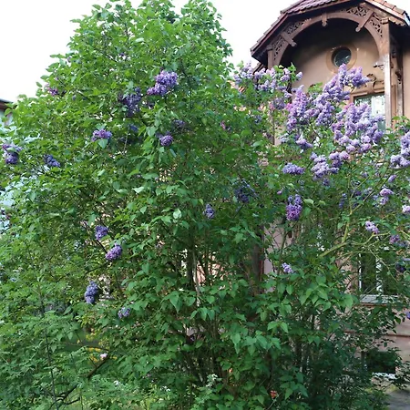 Apartment Maria Rosaria *